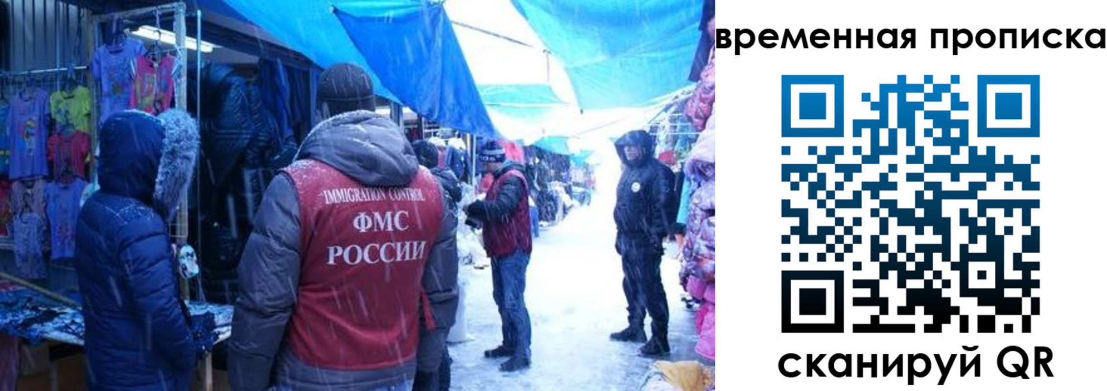 прописка в Кольчугино