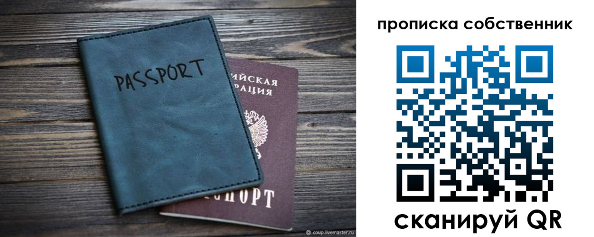 прописка в Кольчугино